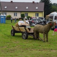 Zobacz w powiększeniu: Dożynki Powiatowe Baranów 2021 (49)